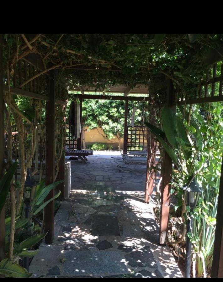 Villa Natalia 圣纳帕 外观 照片