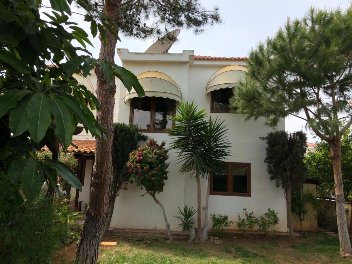 Villa Natalia 圣纳帕 外观 照片